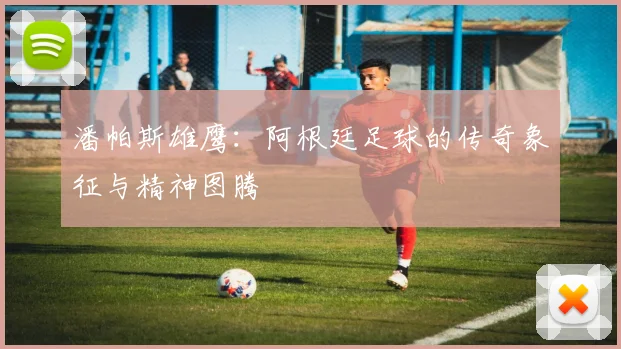 潘帕斯雄鹰：阿根廷足球的传奇象征与精神图腾