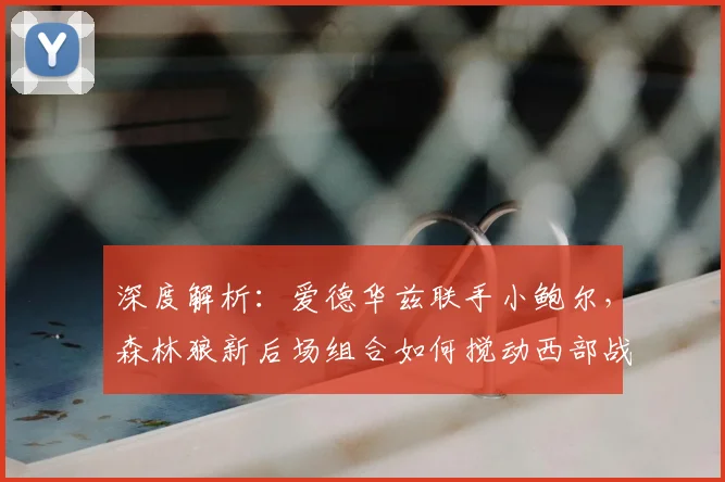 深度解析:爱德华兹联手小鲍尔,森林狼新后场组合如何搅动西部战局?