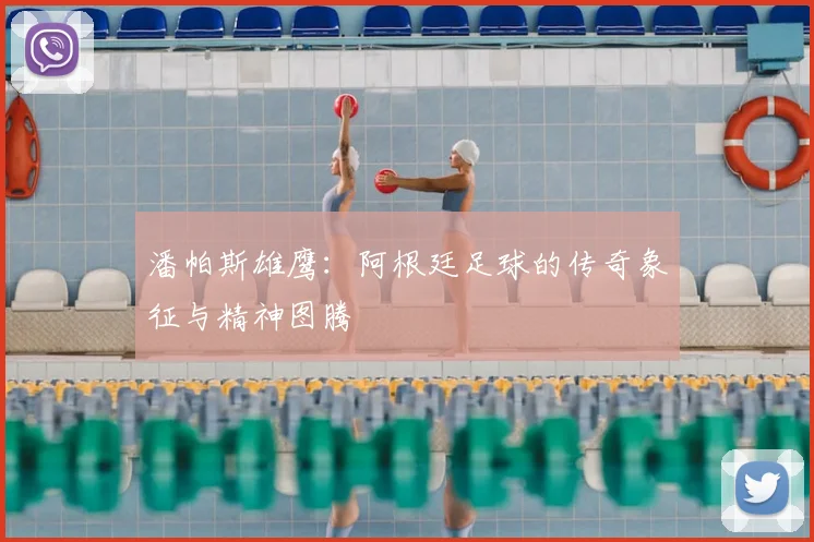 潘帕斯雄鹰：阿根廷足球的传奇象征与精神图腾
